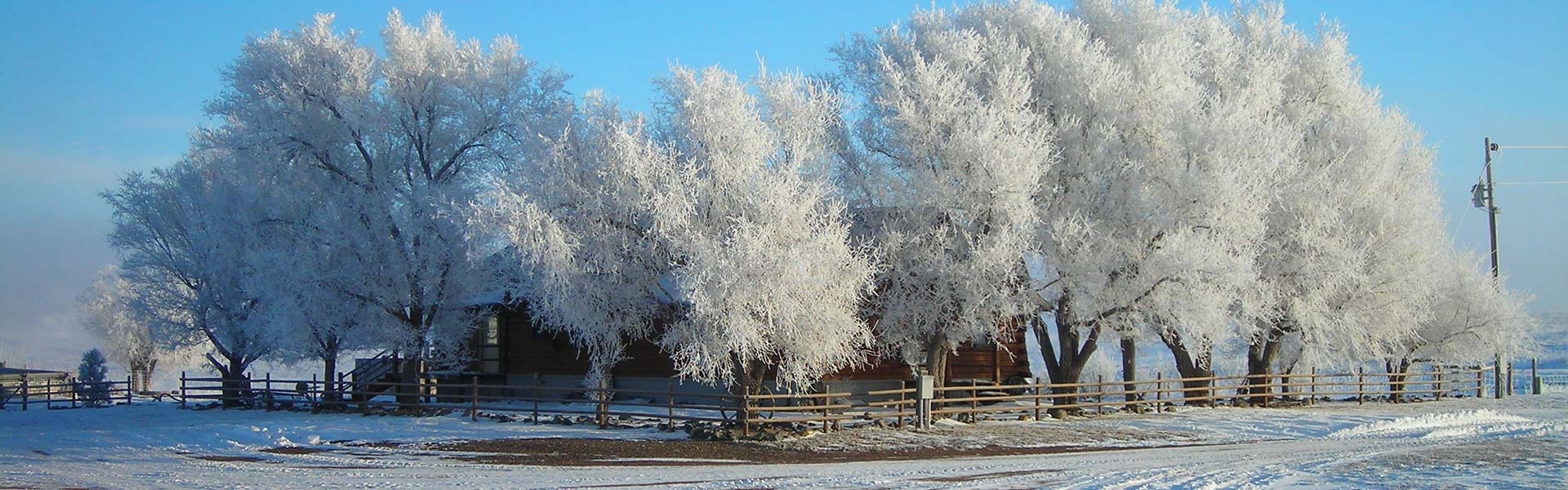 About The South Dakota Hunting Ranch