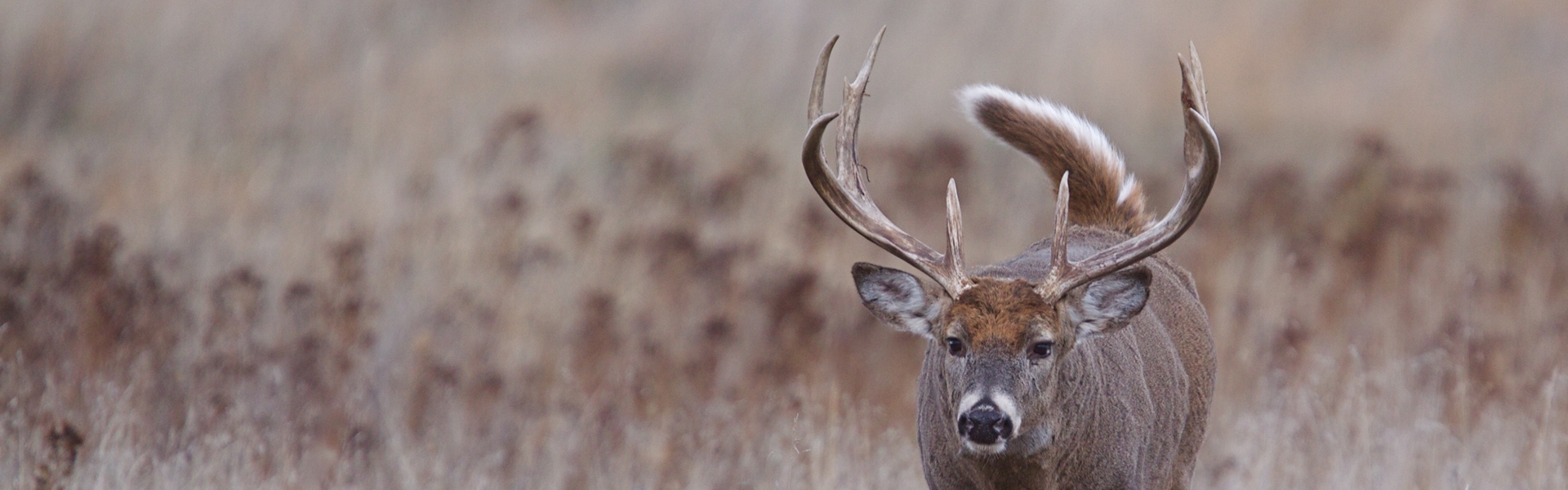 South Dakota Big Game Hunting